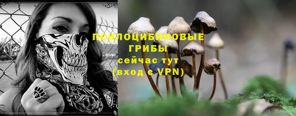 Альфа ПВП Богородск