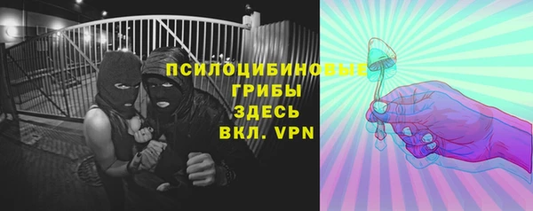 Альфа ПВП Богородск