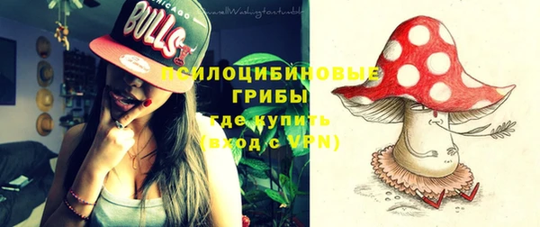 мескалин Бородино